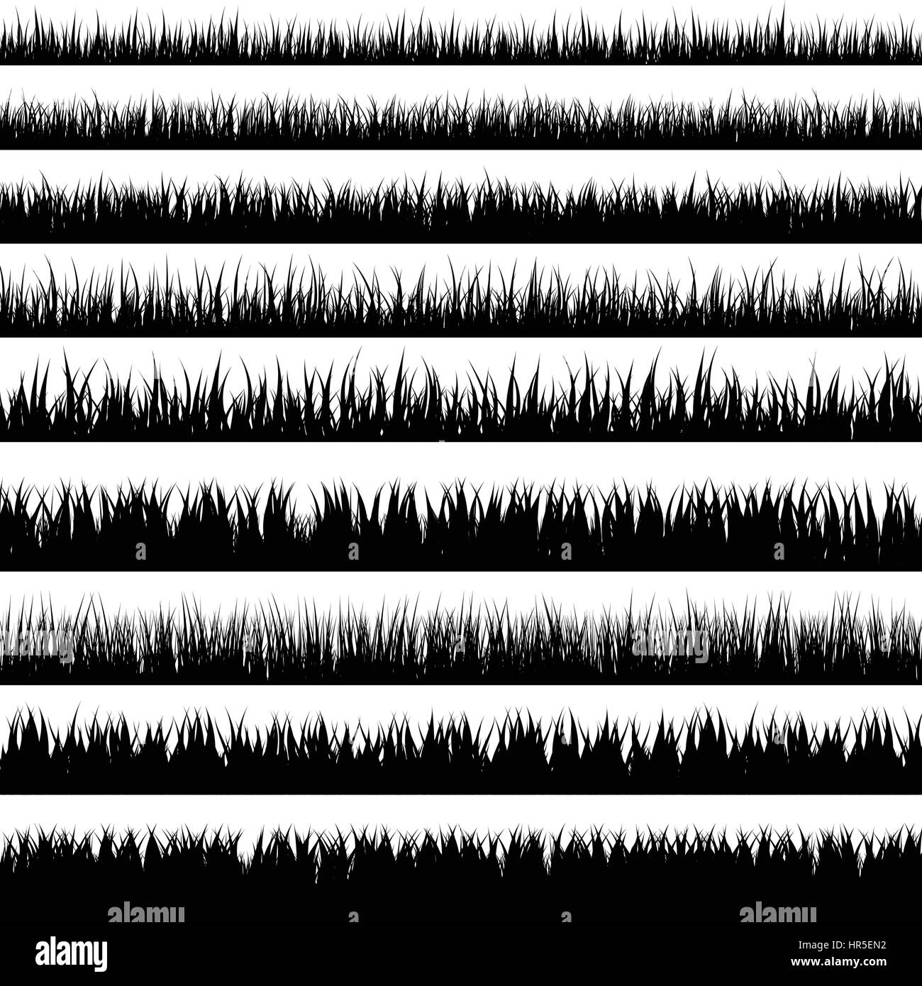 Grass isolated on white set.Prairie. Arrière-plan de la nature. Le printemps, l'heure d'été. Illustration de Vecteur