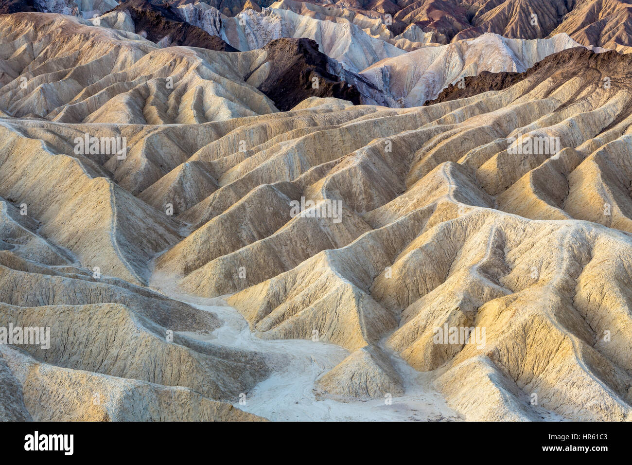 Collines de mudstone, Zabriskie Point Zabriskie point, Death Valley National Park, Death Valley, California, United States, Amérique du Nord Banque D'Images