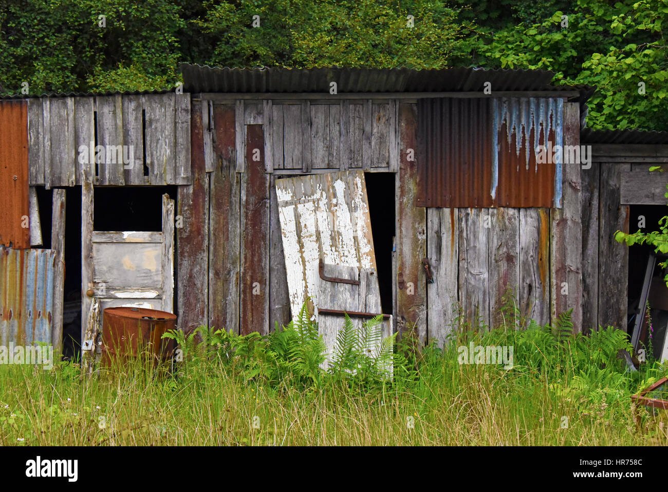 Outhouse délabrée. Badicaul, Ross et Cromarty, Ecosse, Royaume-Uni, Europe. Banque D'Images