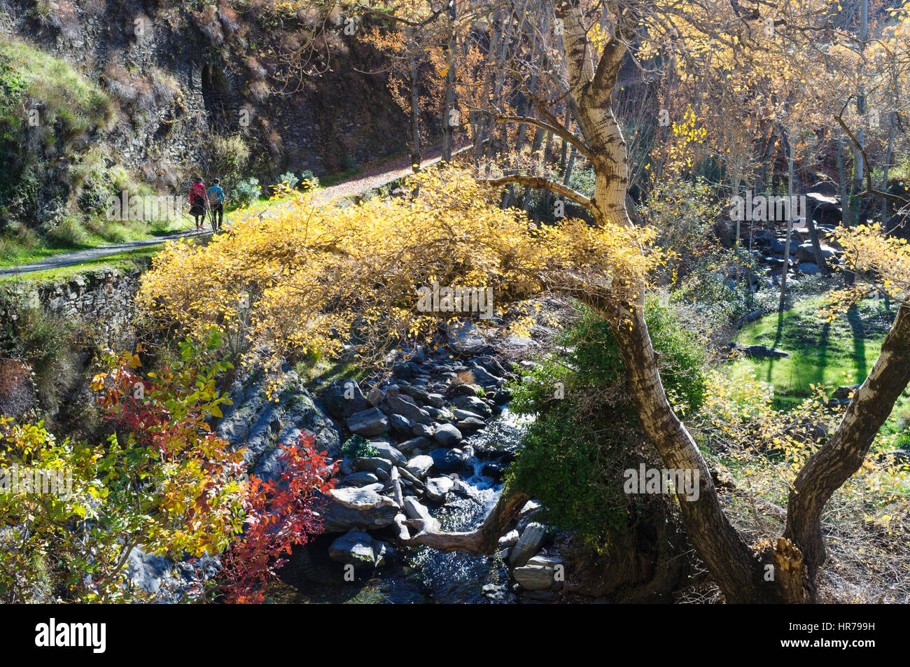 Deux randonneurs sur La Vereda de la Estrella chemin sur la Sierra Nevada, près de Guejar Sierra village, province de Grenade, Andalousie, Espagne Banque D'Images