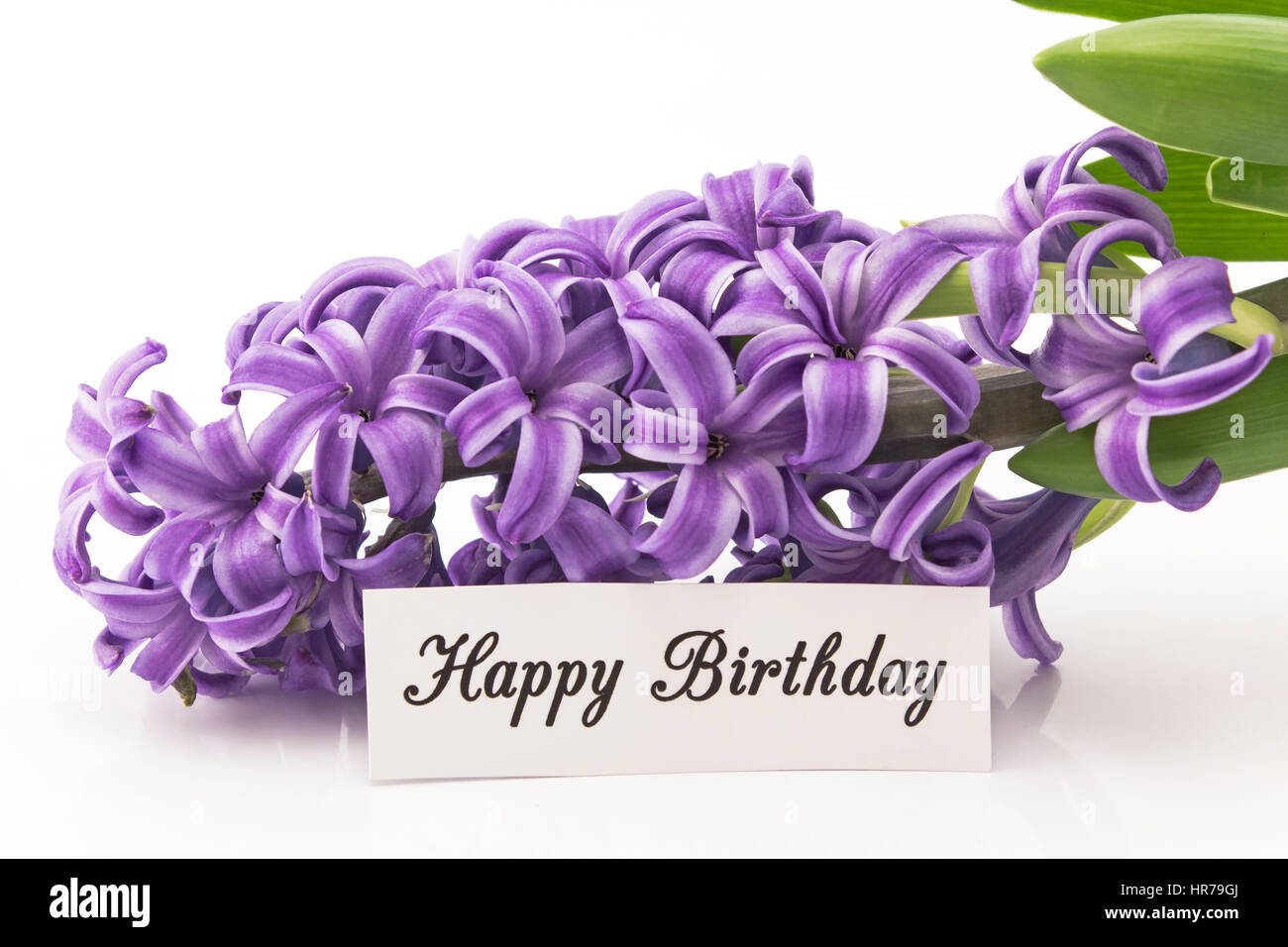 Joyeux Anniversaire Carte avec Hyacinth sur fond blanc. Banque D'Images