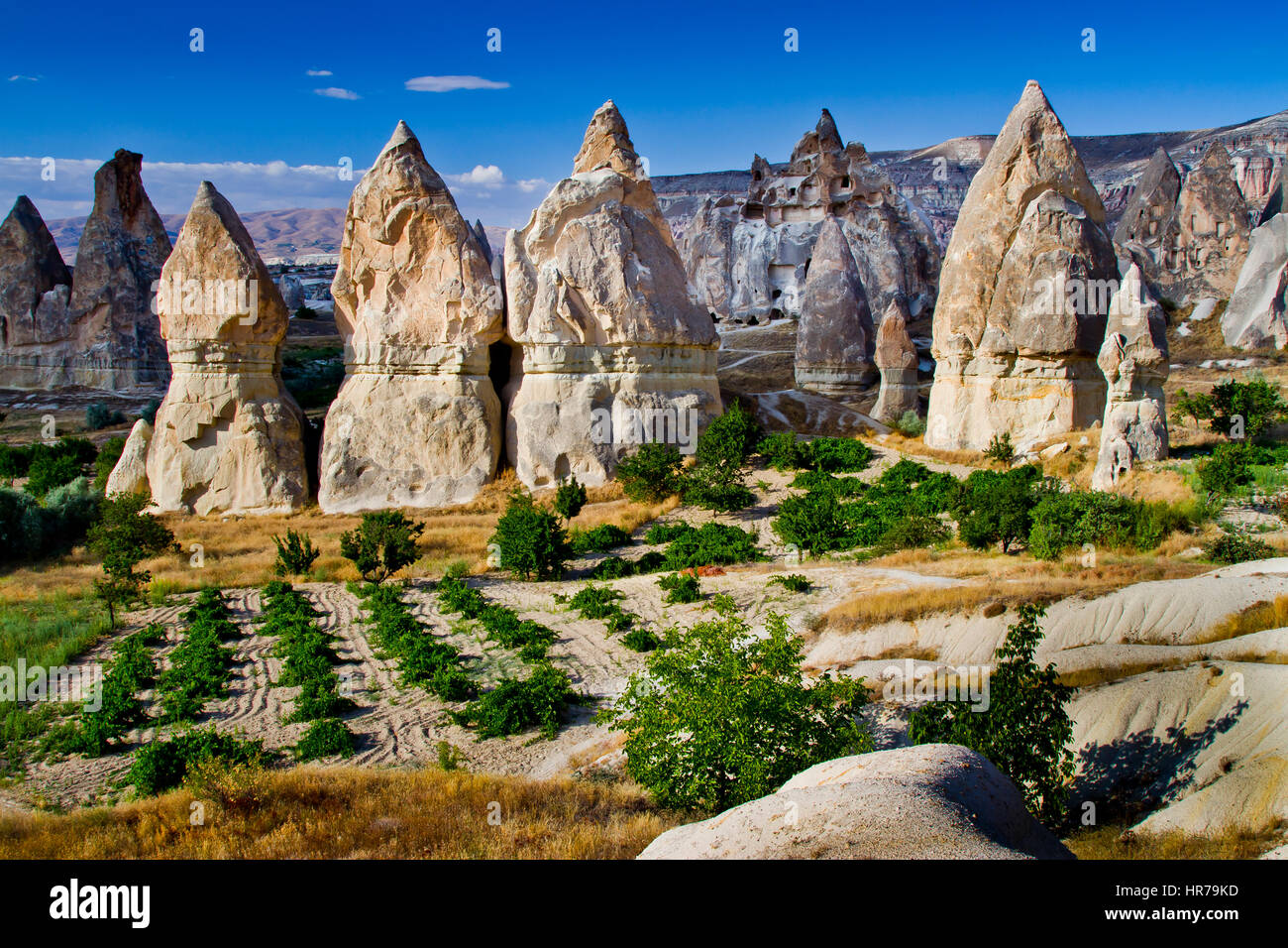 Cheminées de fées. Région de Cappadoce. Nevşehir province. La Turquie Banque D'Images