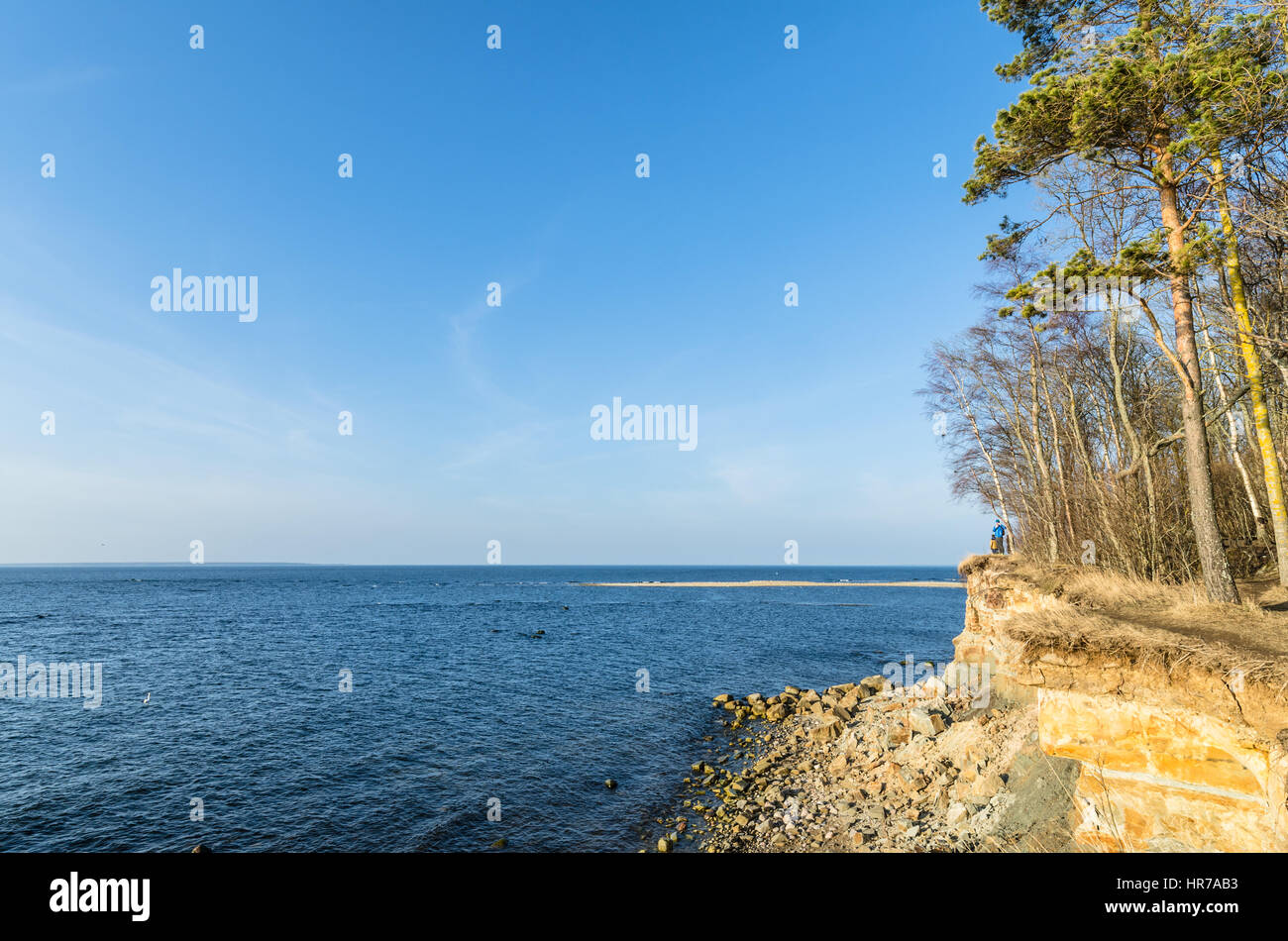 La côte de la mer Baltique, le précipice Banque D'Images