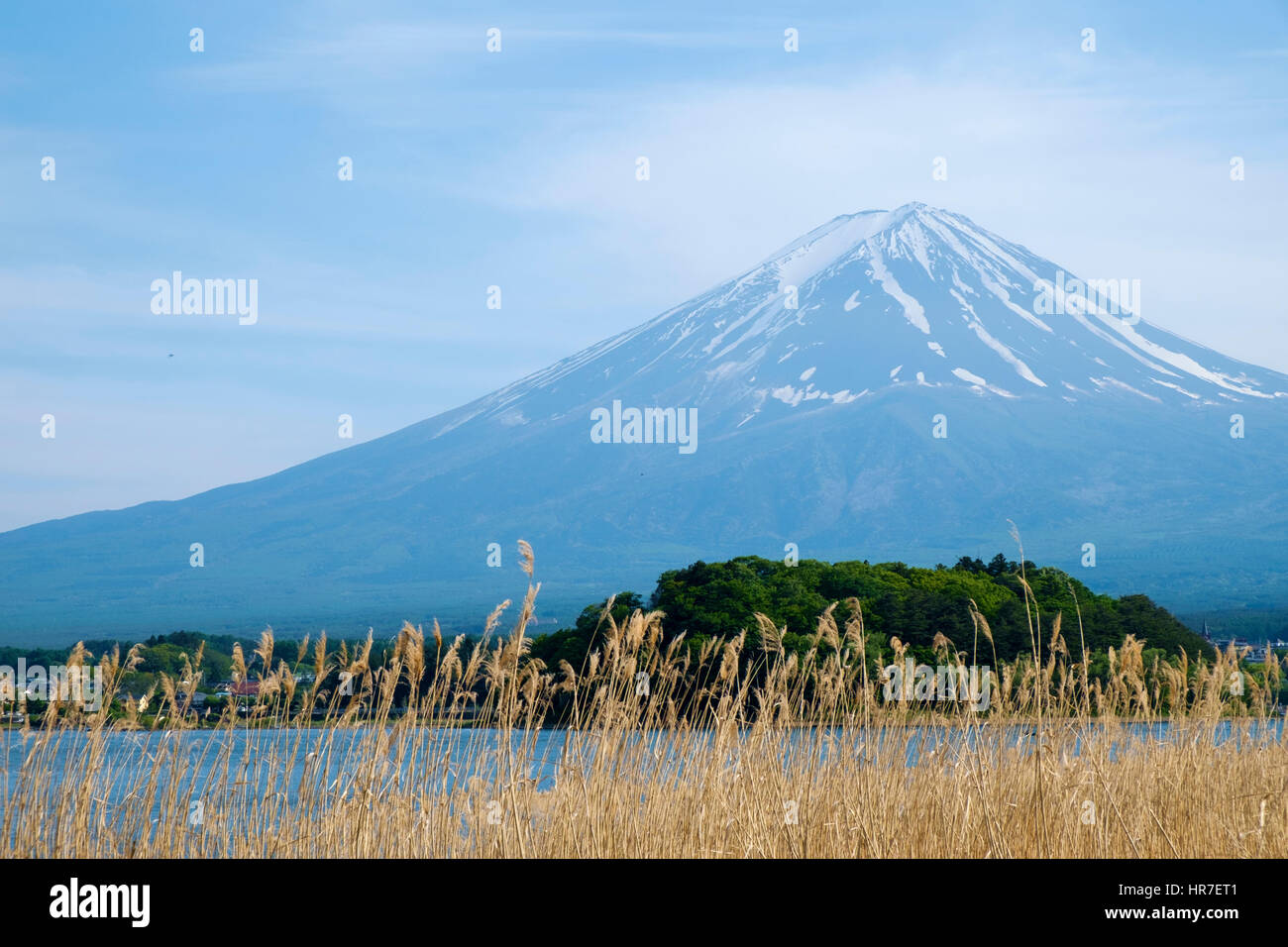 Vue du Mont Fuji depuis les rives de Kawaguchi-ko (lac Kawaguchi), préfecture de Yamanashi, au Japon. Banque D'Images