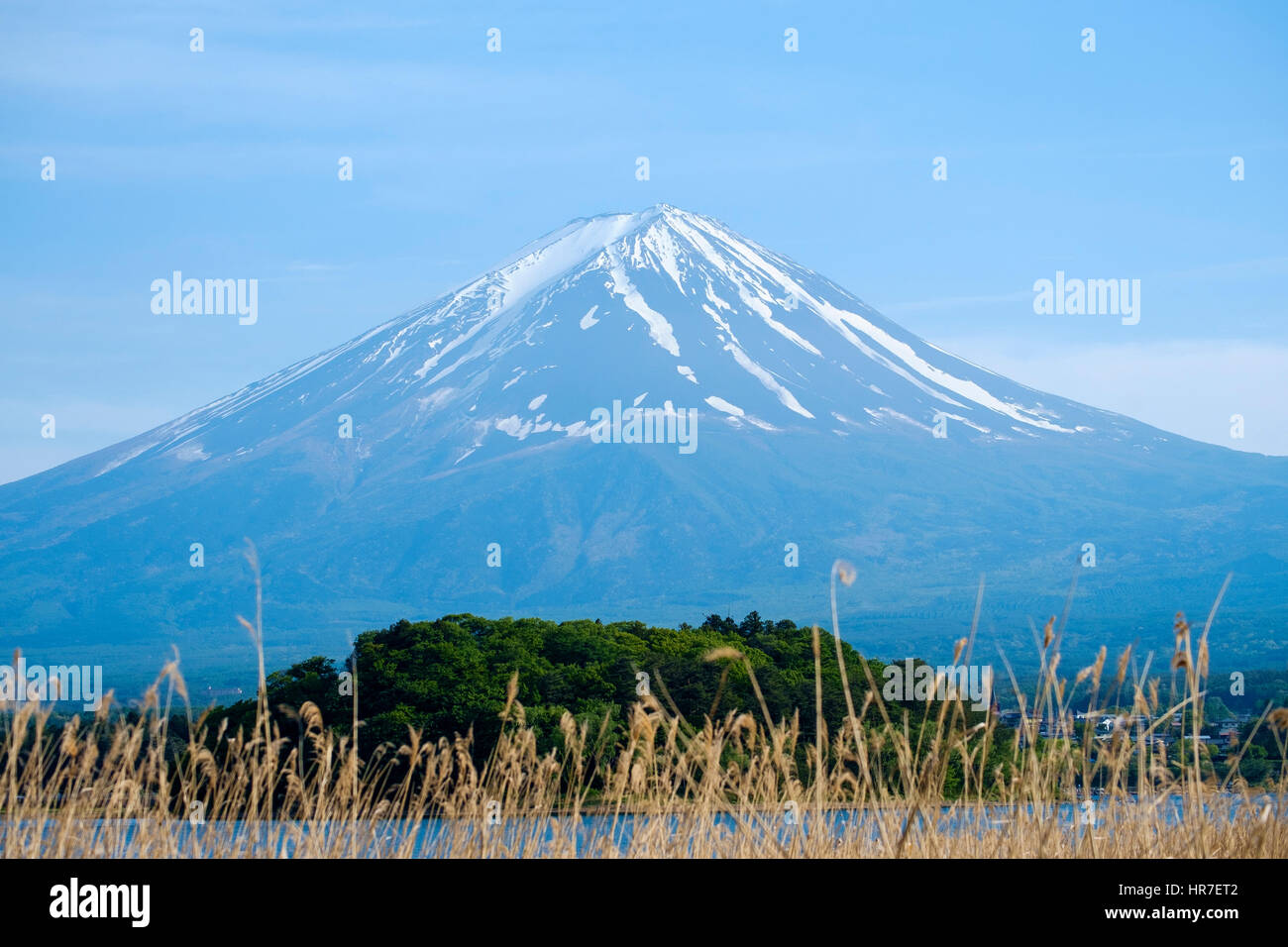 Vue du Mont Fuji depuis les rives de Kawaguchi-ko (lac Kawaguchi), préfecture de Yamanashi, au Japon. Banque D'Images
