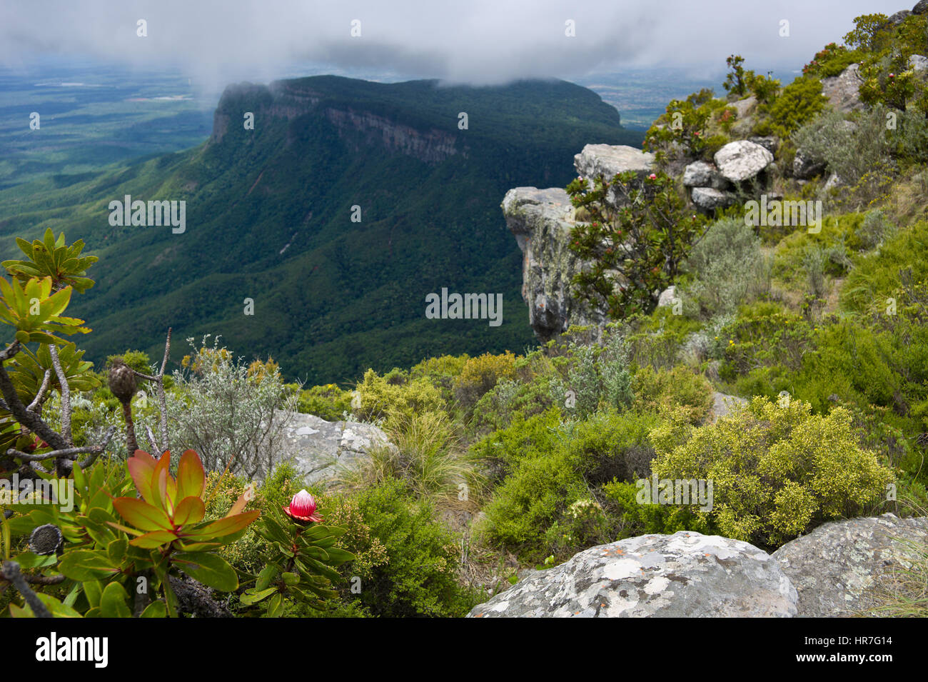 Plus haut sommet en afrique Banque de photographies et d’images à haute