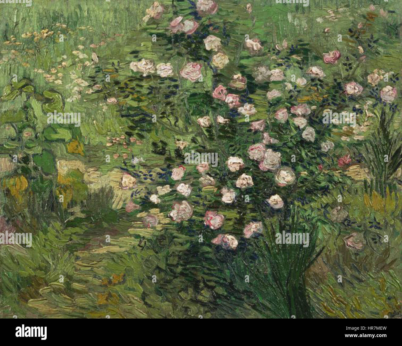 Vincent van Gogh Roses Banque D'Images