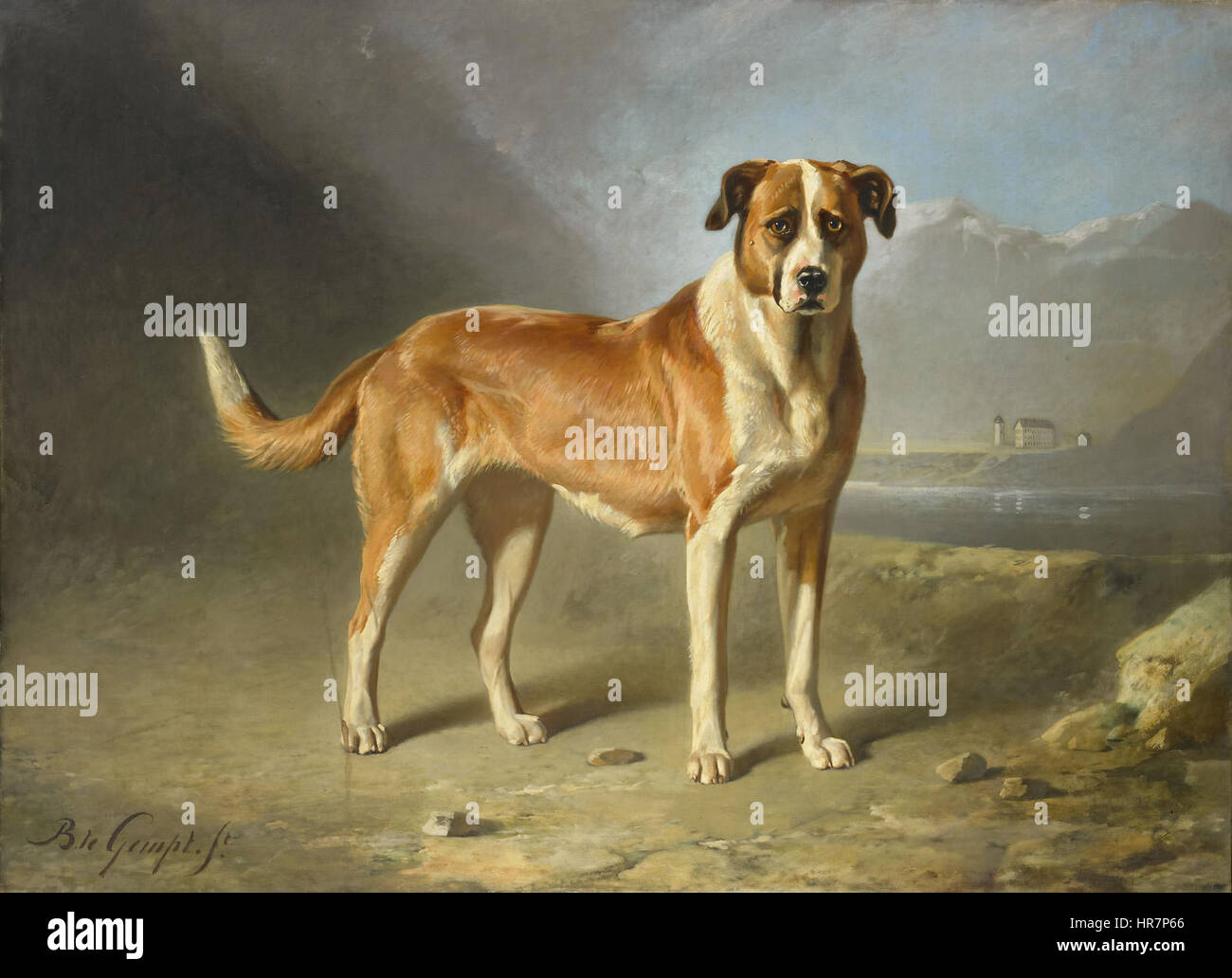 Chien Saint-Bernard, une peinture de Bernard te Gempt, un artiste néerlandais, vers 1850, huile sur toile, conservée au Rijksmuseum d’Amsterdam. Banque D'Images