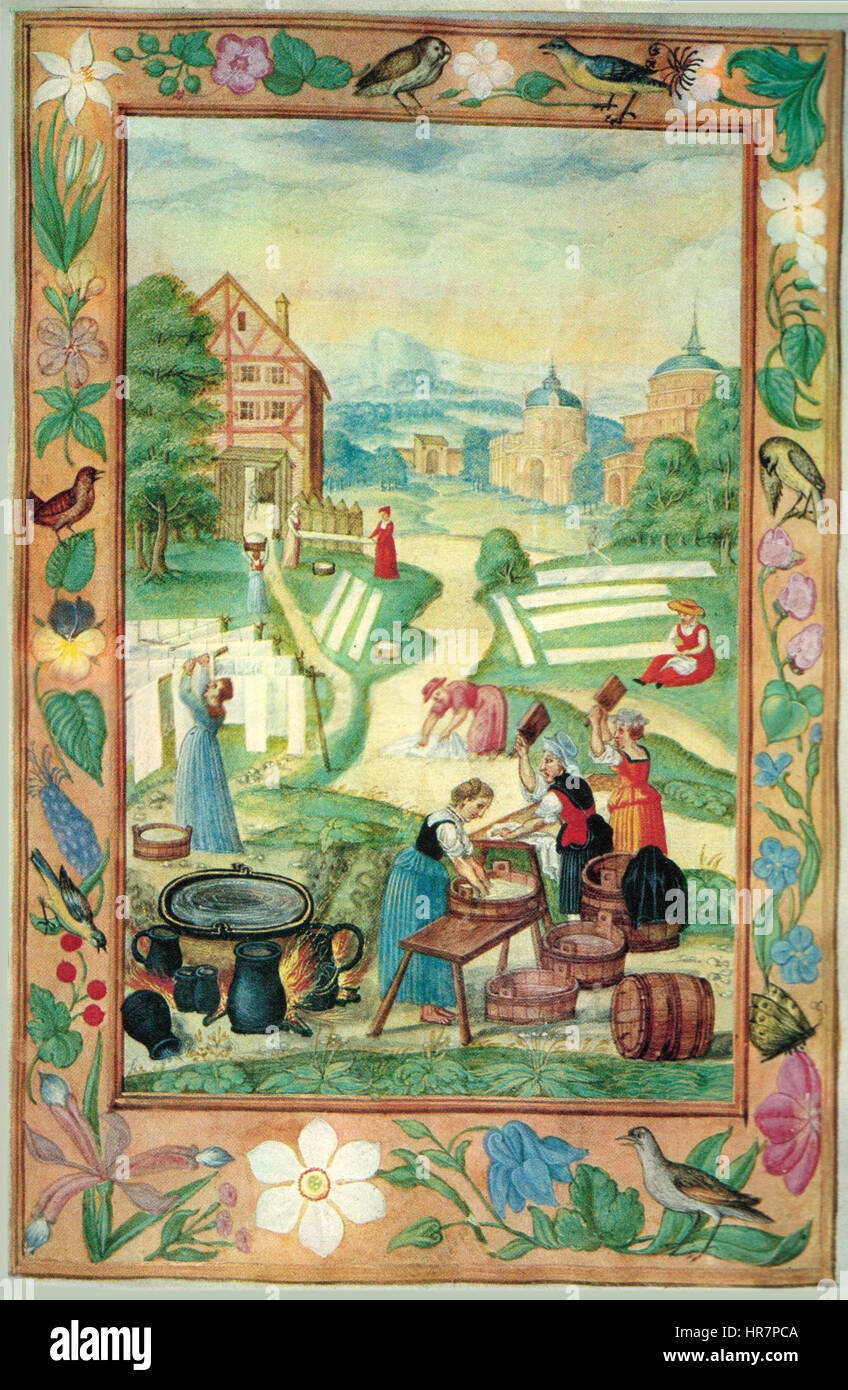 Splendor solis das grosse vor der Stadt 1531 waschfest Banque D'Images