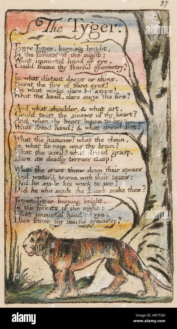 'The Tyger' est un poème extrait de 'Songs of innocence and Experience' de William Blake, publié pour la première fois en 1794. Le poème explore les thèmes de la création, de l’innocence et de l’expérience à travers la représentation symbolique d’un tigre. Blake réfléchit sur la nature du bien et du mal, questionnant le pouvoir de la création et l’existence d’un créateur. Le poème est devenu une pièce emblématique de la littérature anglaise, connue pour sa structure rythmique et ses implications philosophiques profondes. Banque D'Images