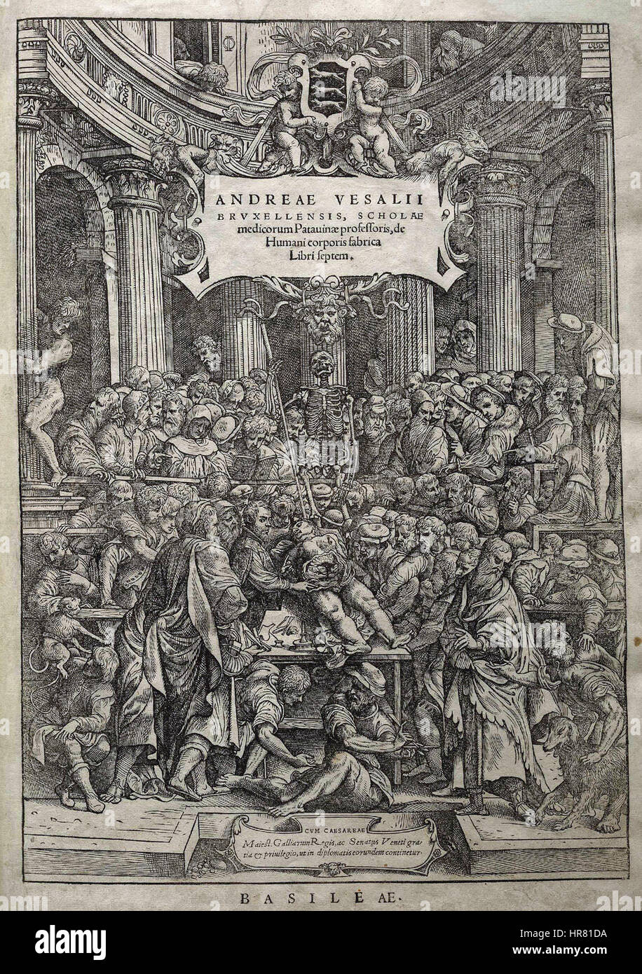 Fabrica Vesalius fronticepiece Banque D'Images