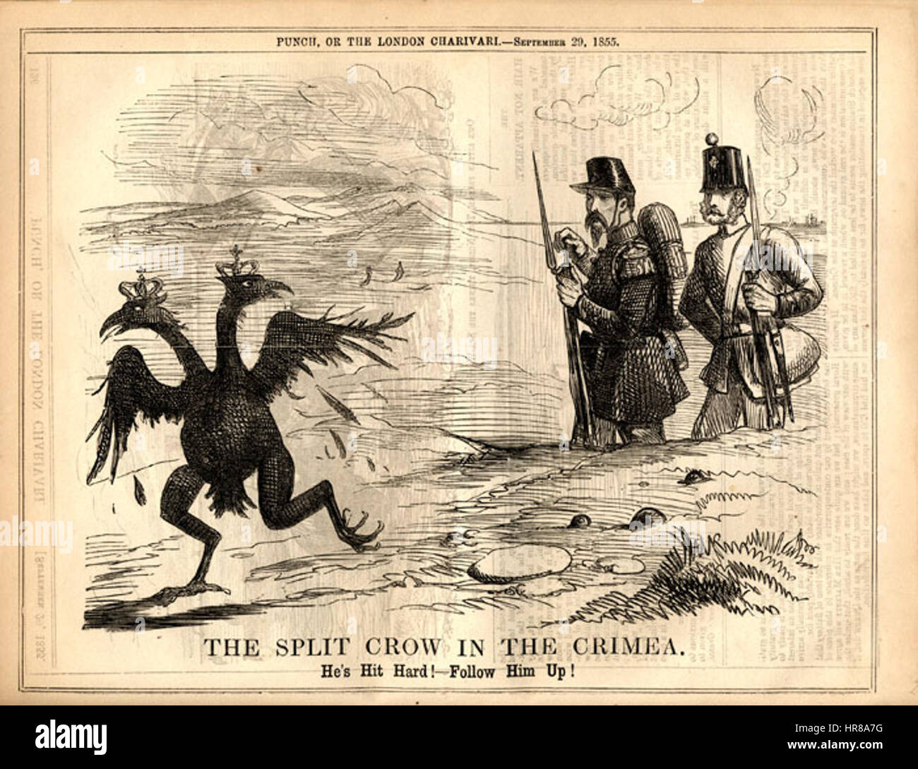 SplitCrow en Crimée Banque D'Images