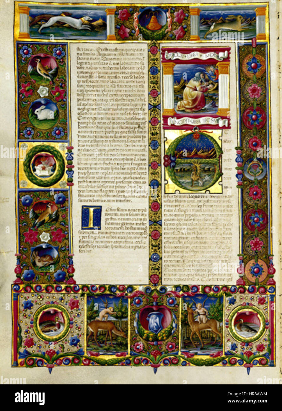 Taddeo crivelli, bibbia di borso d'este 09 Banque D'Images