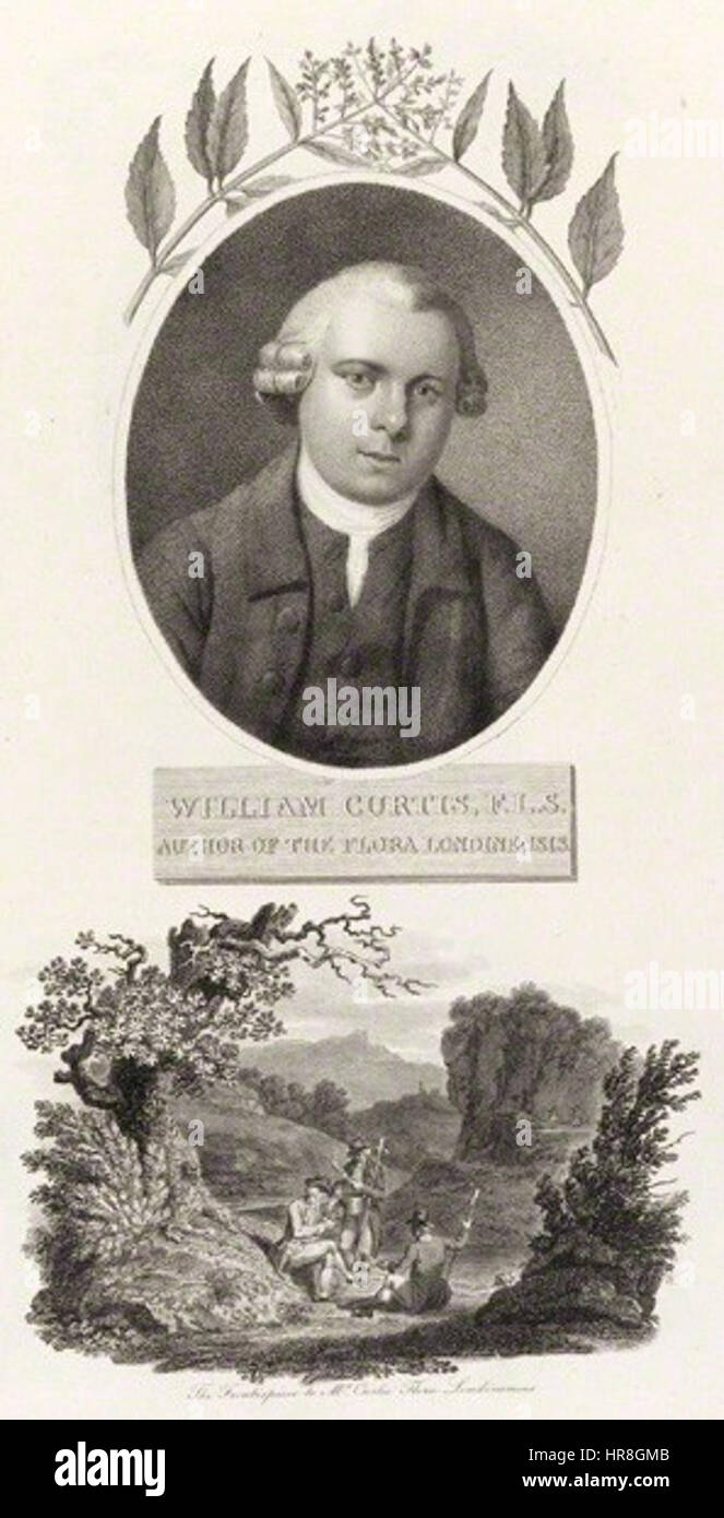 Le frontispice de M. Curtis Banque D'Images