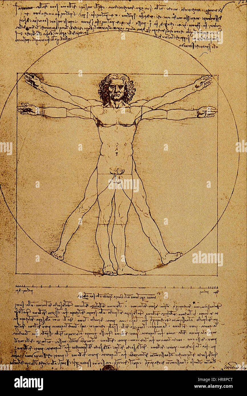 Studio del corpo umano - Leonardo da Vinci Banque D'Images