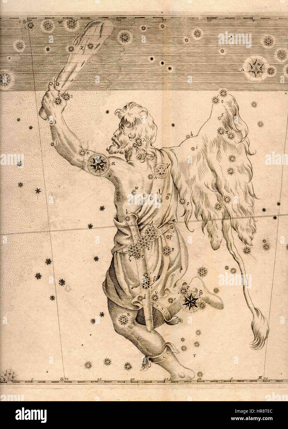 Uranometria orion Banque D'Images