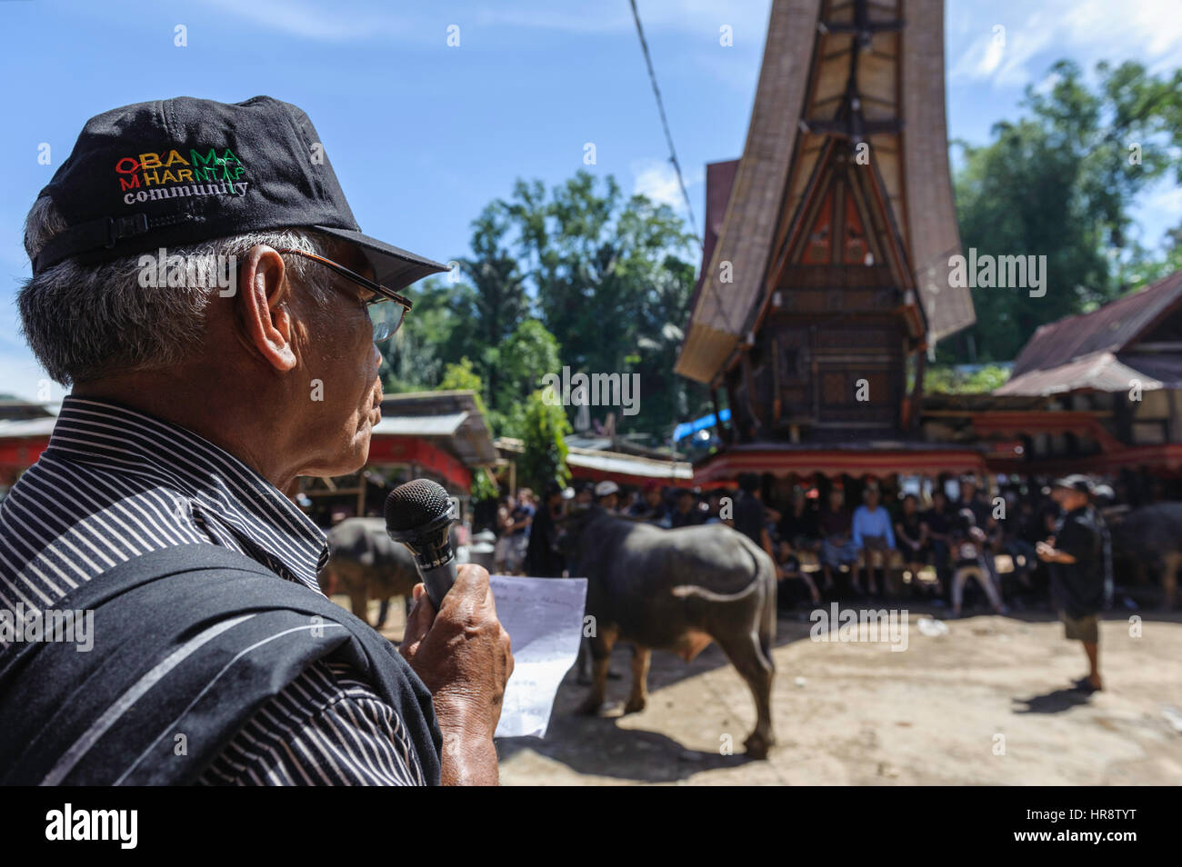 Au cours d'un rituel traditionnel enterrement de la Tana Toraja des parents, amis et voisins apportent les animaux pour le sacrifice rituel. Ils leur montrer en fro Banque D'Images