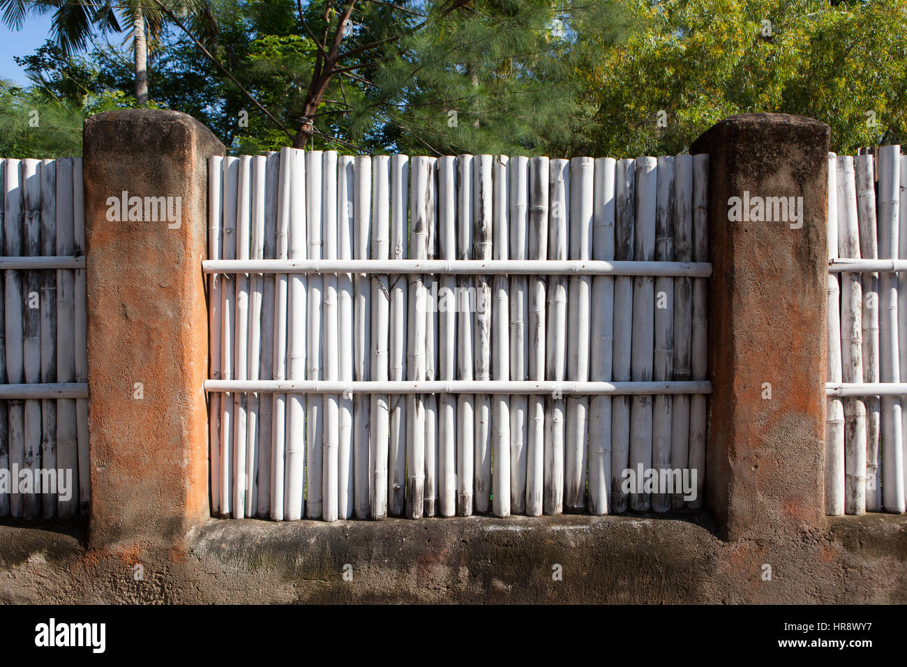 White Bamboo clôture dans un pays tropical dans le soleil du matin Banque D'Images
