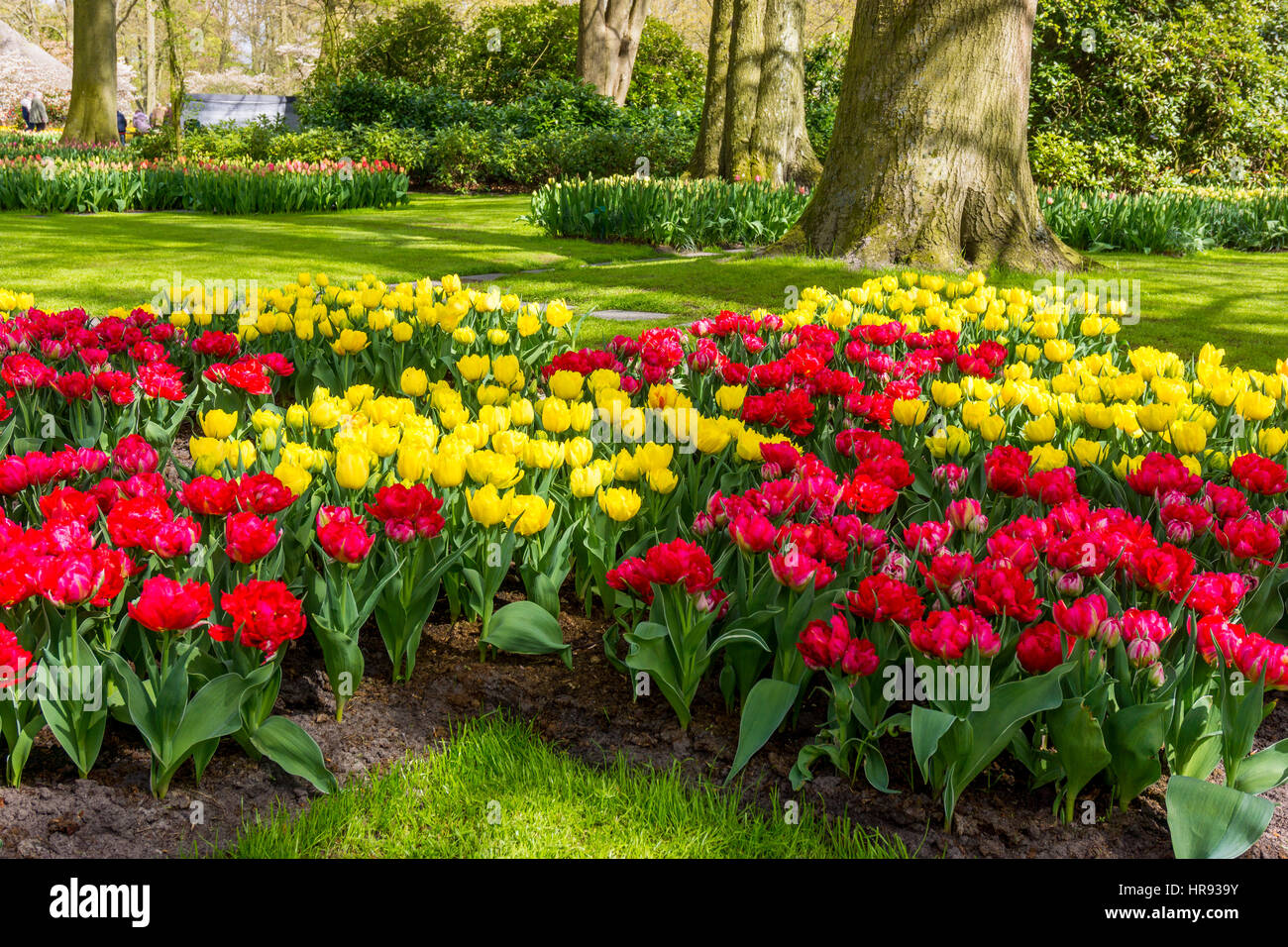 Jardin fleuri. Magnifique parc jardin au printemps. beau jardin de fleurs Banque D'Images