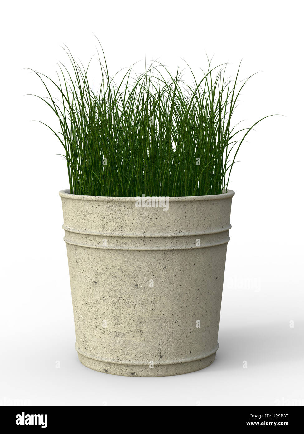 Le rendu 3d'herbe verte en pot Banque D'Images