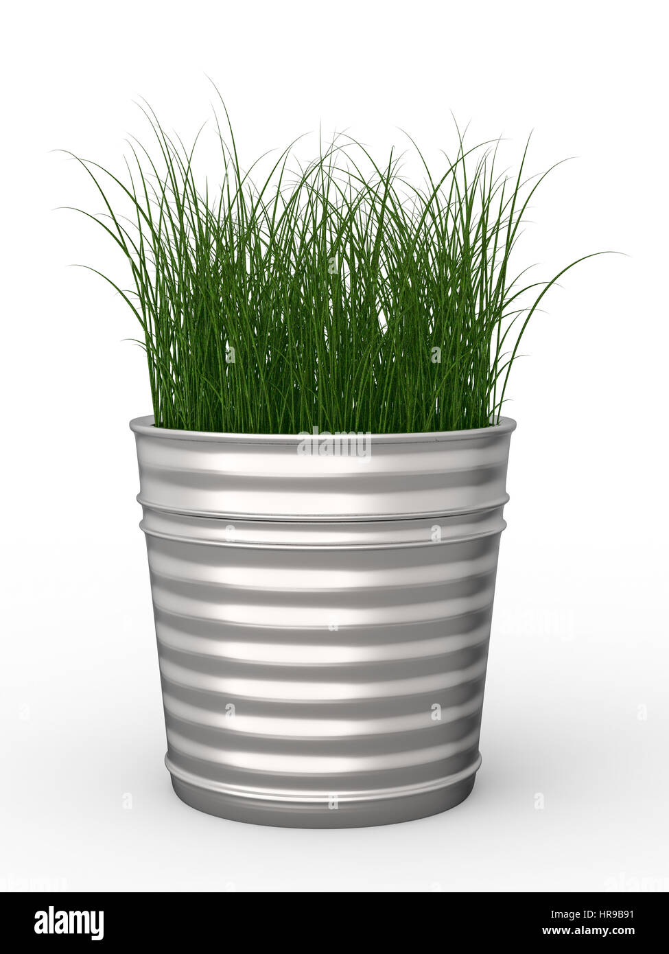 Le rendu 3d'herbe verte en pot Banque D'Images