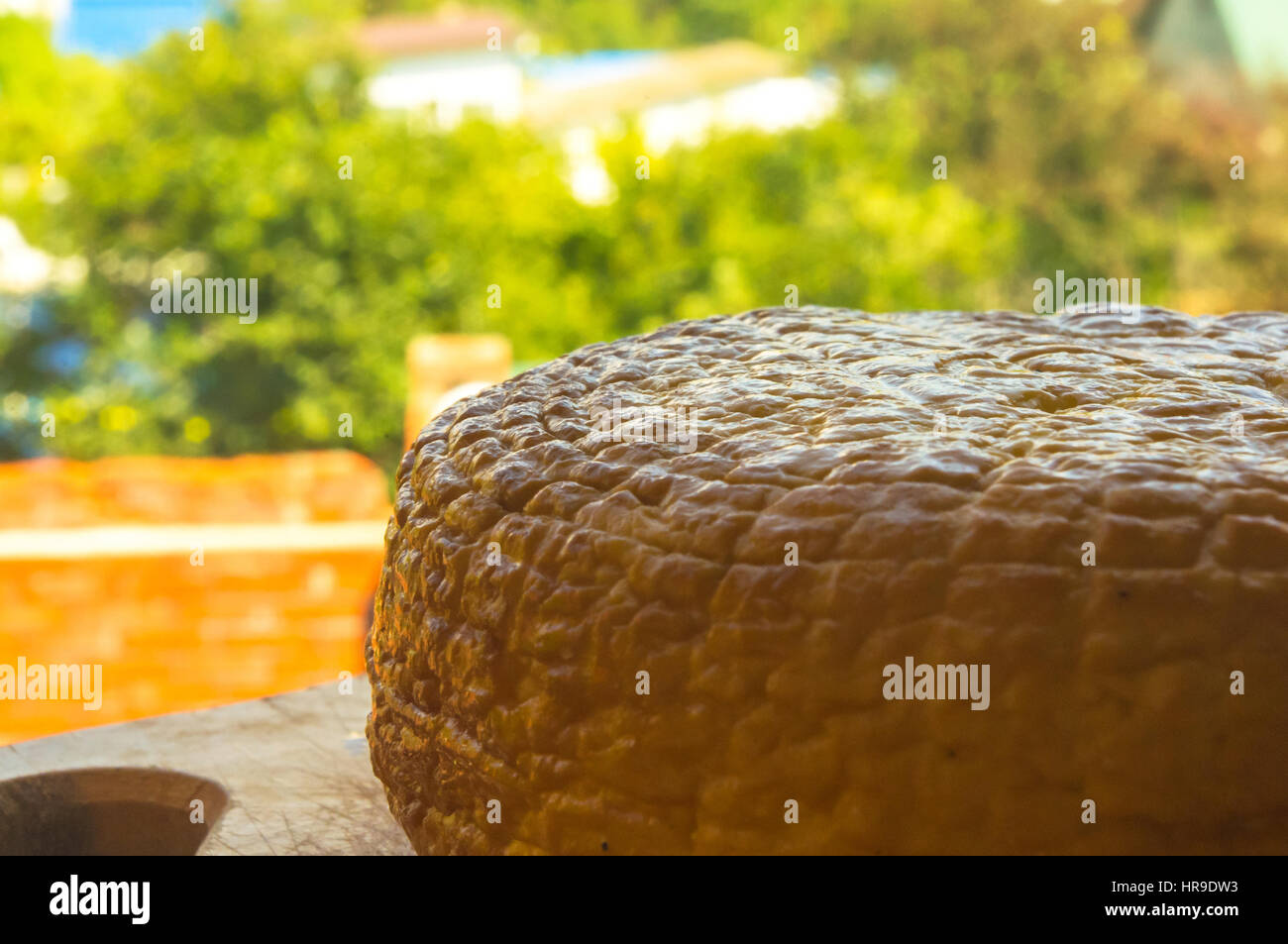 Tête de fromage traditionnel Adygei sur planche de bois fait main Banque D'Images