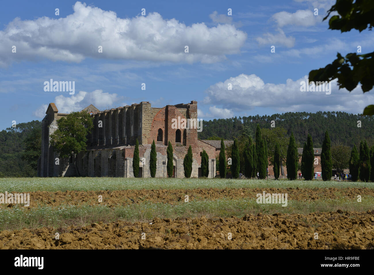 Abbaye de San Galgano, abandonné, l'endroit est devenu célèbre en raison de l'absence de toit. De nos jours attire des milliers de visiteurs chaque année et a également été Banque D'Images