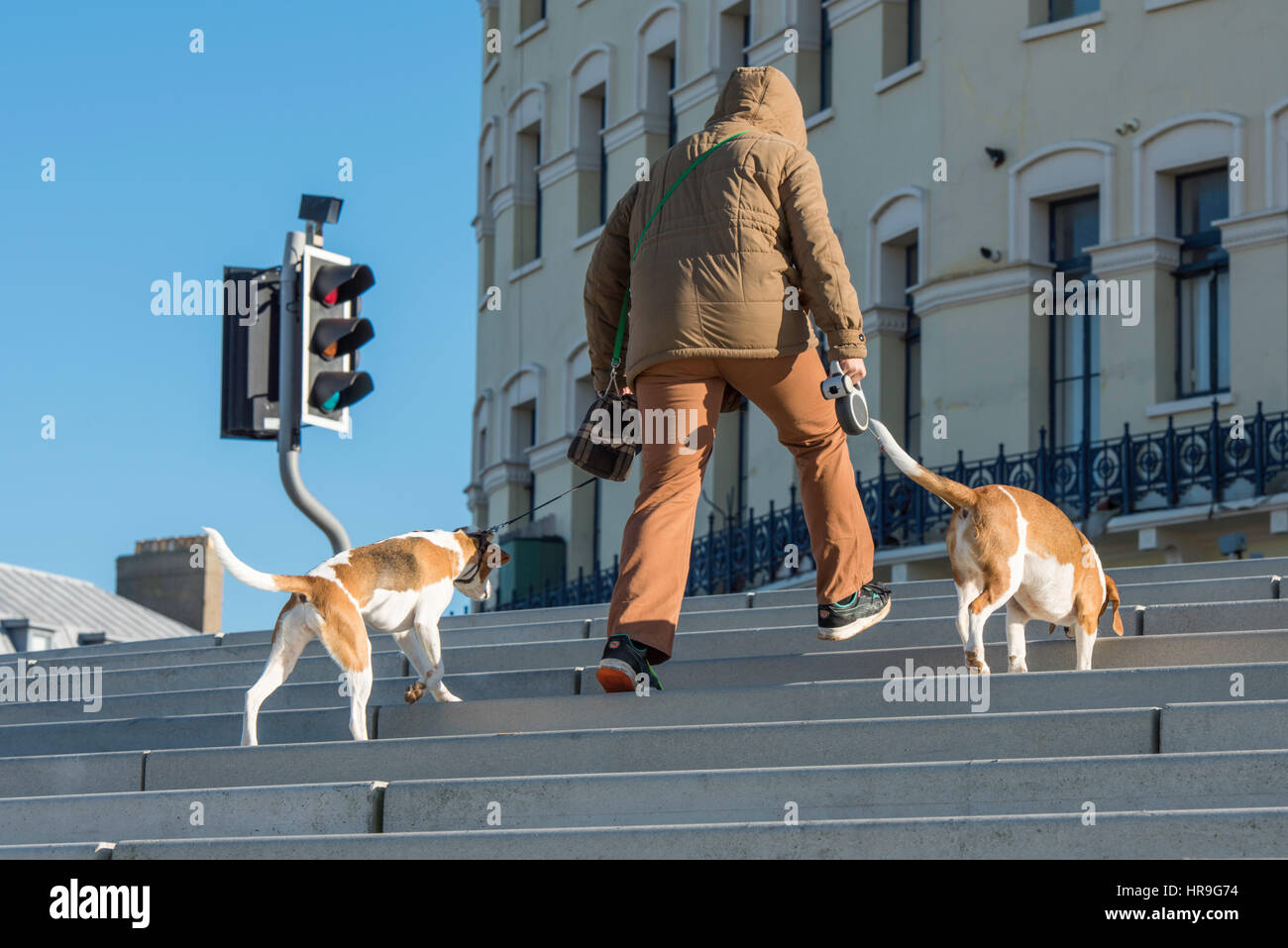 Un homme marchant avec ses deux chiens à la mer à Margate, Kent. Banque D'Images