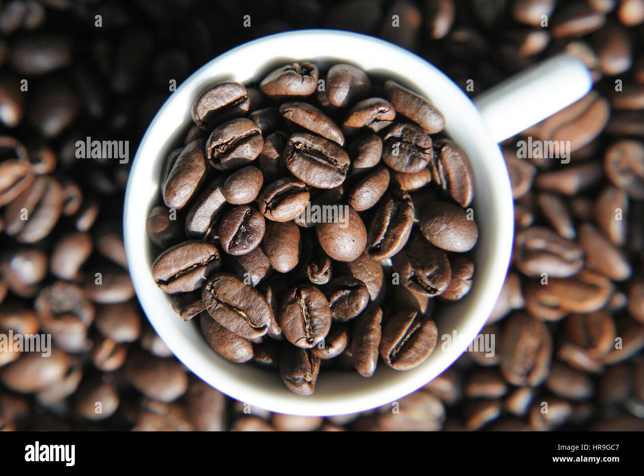 Tasse de café avec des grains de café torréfié Banque D'Images