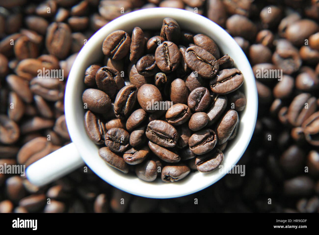 Tasse de café avec des grains de café torréfié Banque D'Images