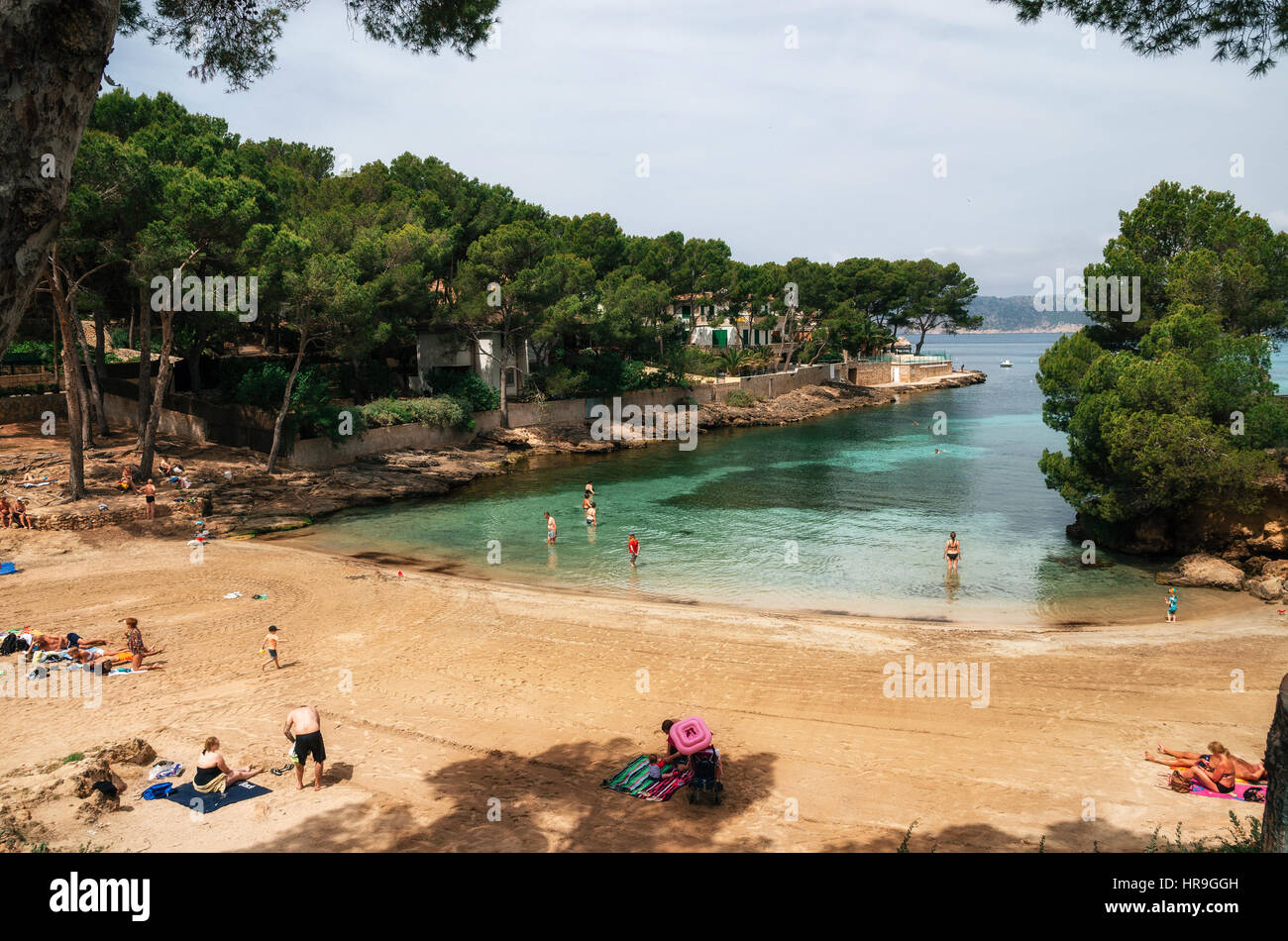 Peu Pellicer Plage de Santa Ponsa avec de l'eau azur vert, les baigneurs et les vacanciers dans une journée ensoleillée. Baie confortable avec du sable doré au milieu des pins. M Banque D'Images