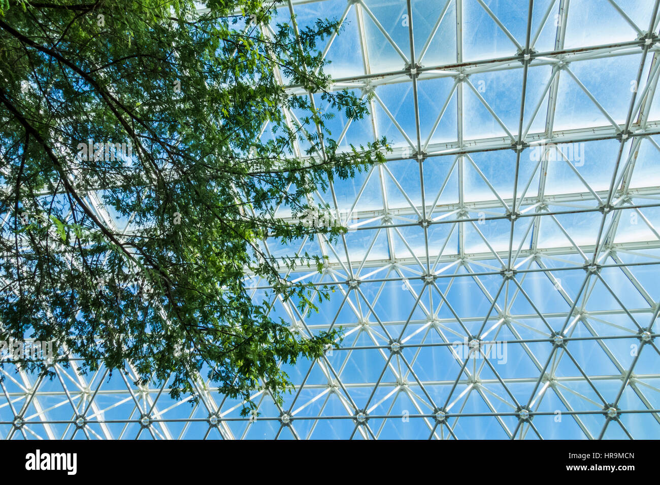 Vue de l'intérieur de Biosphere 2 en Arizona en dehors de Tucson. Banque D'Images