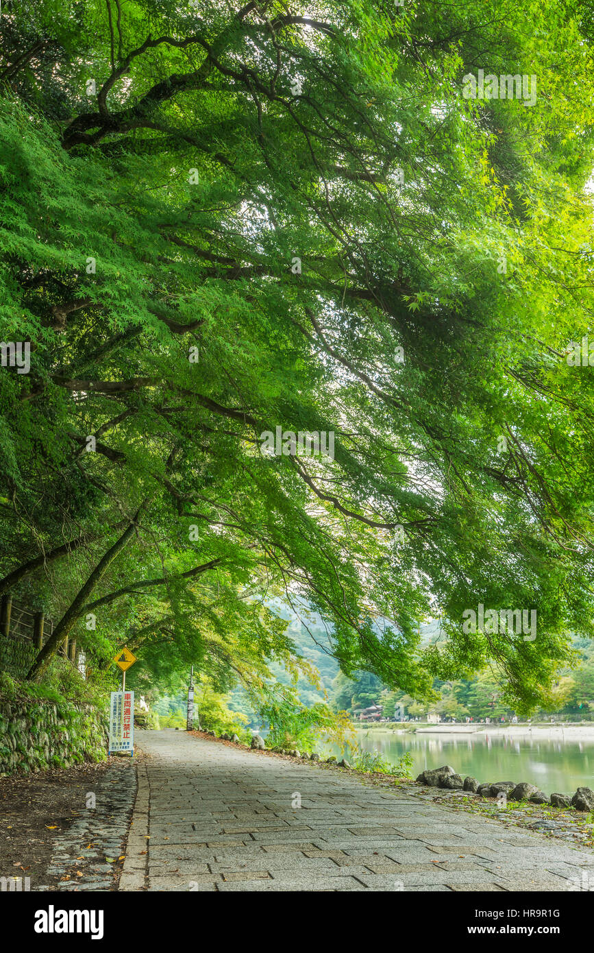 De Arashiyama est un quartier à la périphérie ouest de Kyoto, au Japon. Il a également fait référence à la montagne de l'autre côté de la rivière Oi, qui forme une toile de fond de la d Banque D'Images