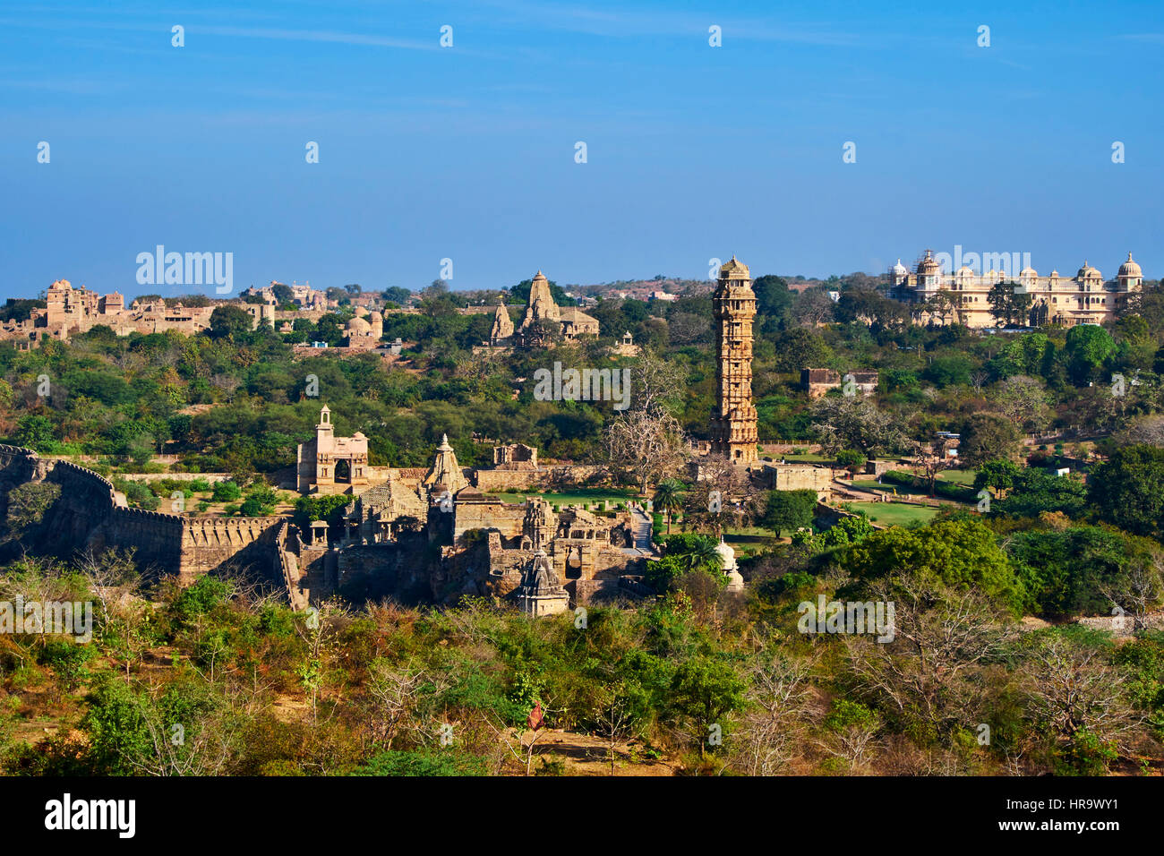 L'Inde, Rajasthan, Chittorgarh fort, patrimoine mondial de l'UNESCO, la tour de la Victoire Banque D'Images