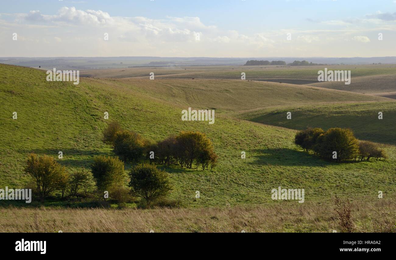 Aperçu de la plaine de Salisbury downland M.O.D craie des zones de tir, Wiltshire, Royaume-Uni, octobre 2013. Banque D'Images