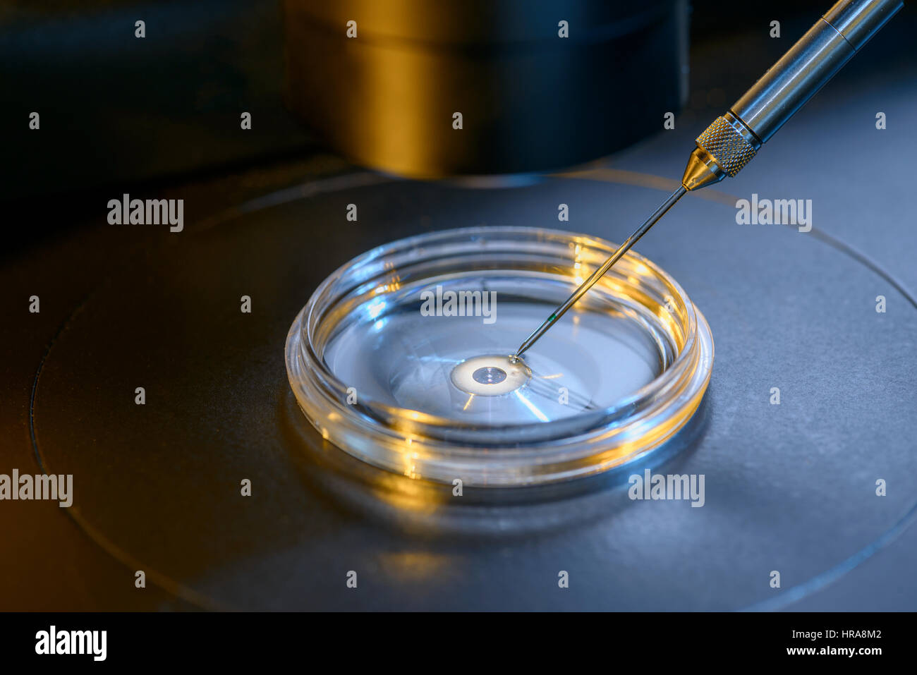 Un gros plan du microscope professionnel La Fécondation In Vitro Banque D'Images