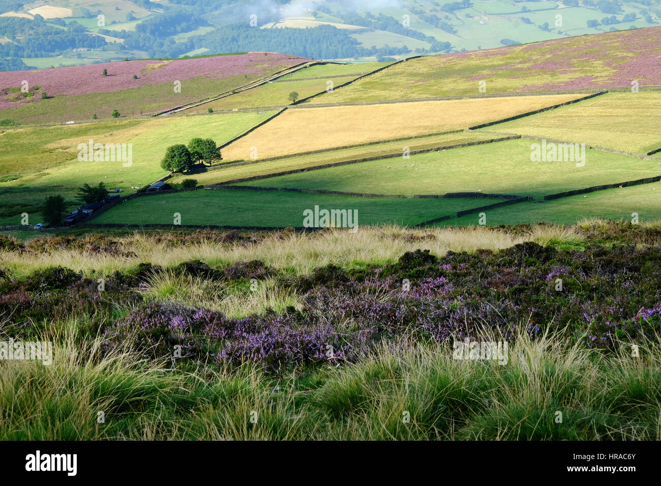 Stanage Edge in th UK Peak District National Park Banque D'Images