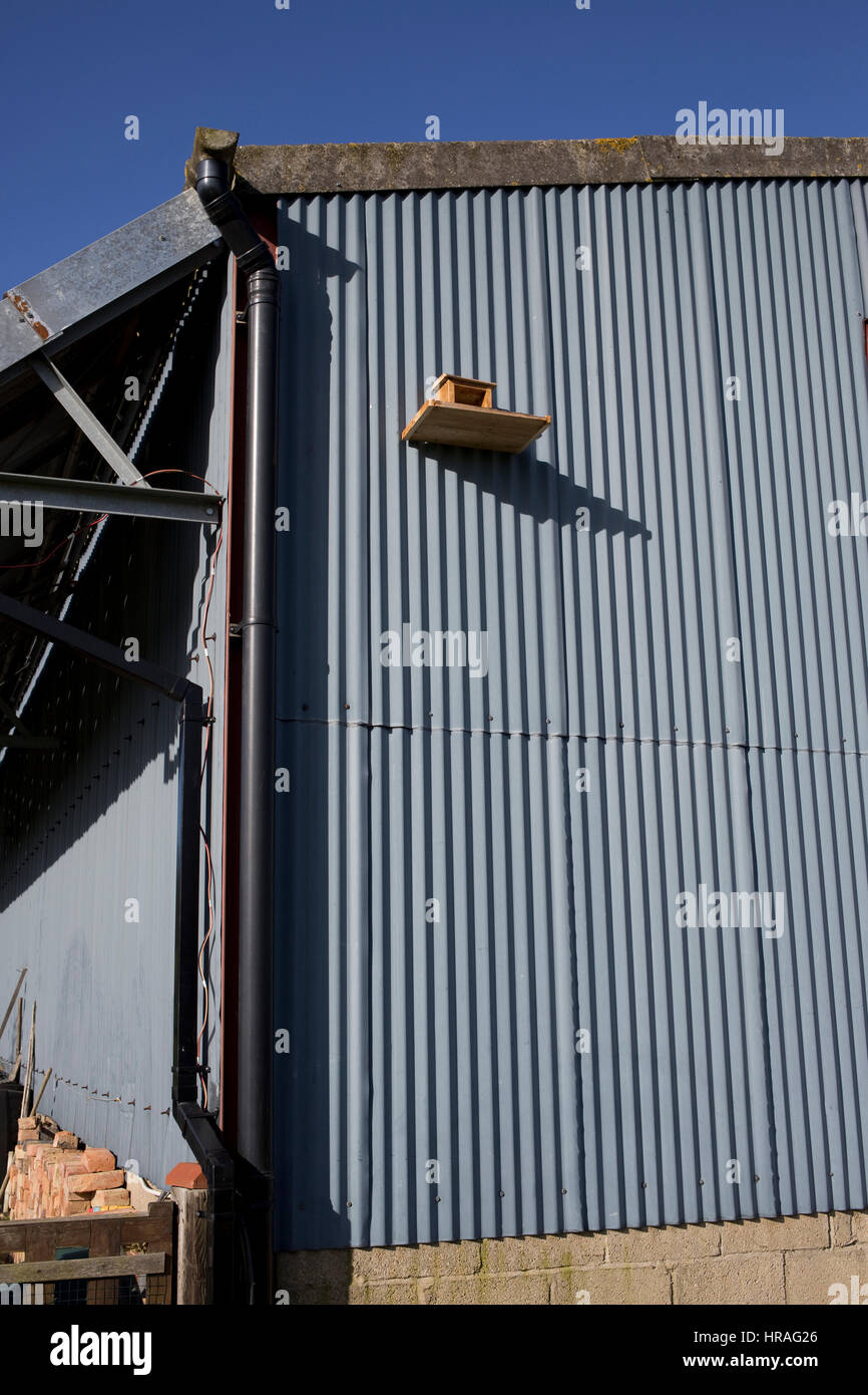 Entrée de Barn Owl fort avec plate-forme d'atterrissage installés dans une grange en acier UK Banque D'Images