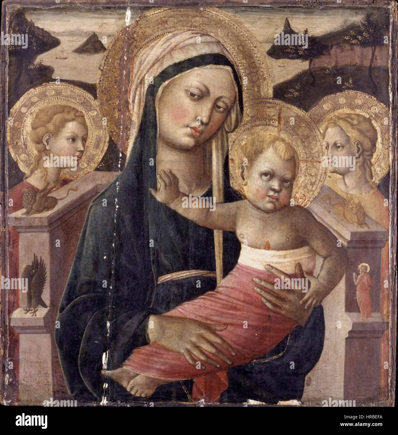 Scheggia, Madonna col bambino, collezione privata Banque D'Images
