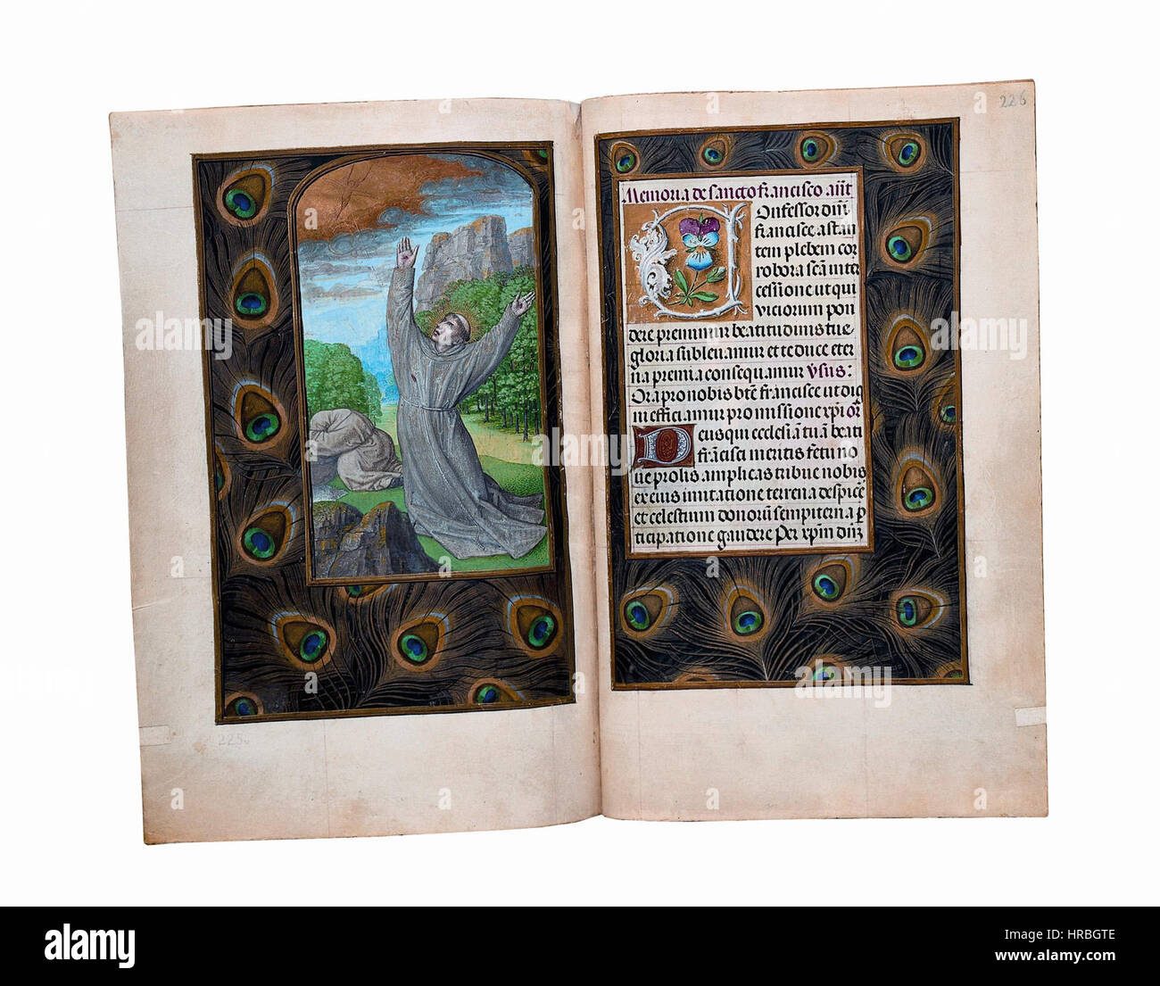 Voyez 'Livre de Rothschild 16 Banque D'Images