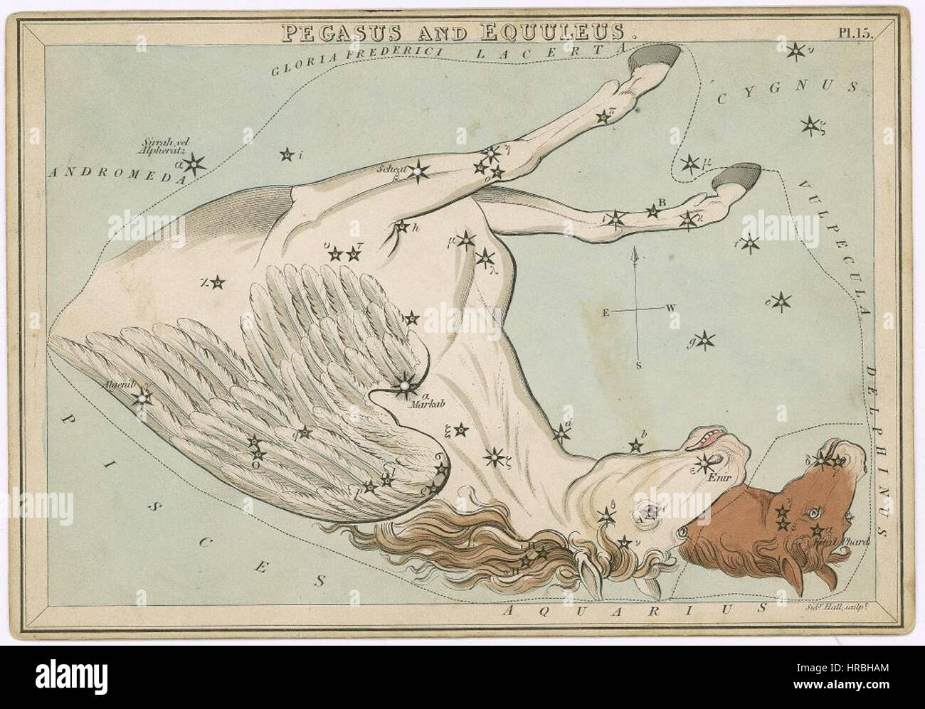 Sidney Hall - Urania's Mirror - Pegasus et Equuleus (meilleure version actuellement disponible - 2014) - original Banque D'Images