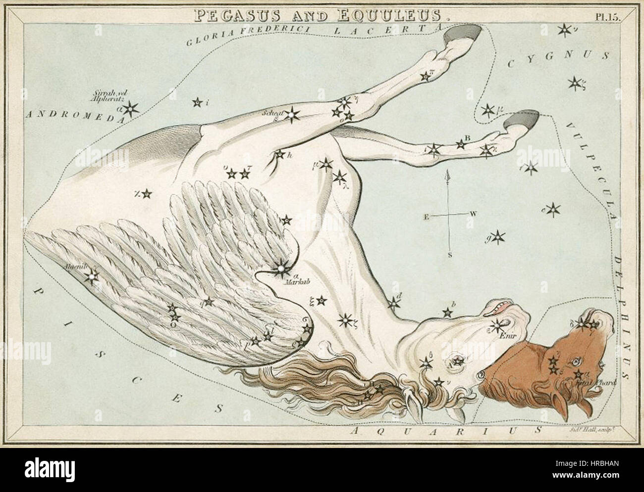 Sidney Hall - Urania's Mirror - Pegasus et Equuleus (meilleure version actuellement disponible - 2014) Banque D'Images