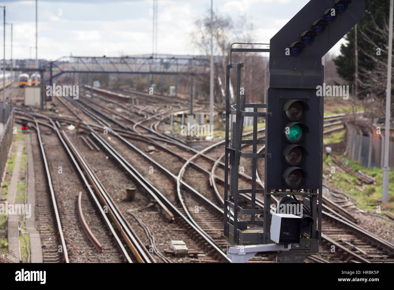 Slade green Banque de photographies et d’images à haute résolution Alamy