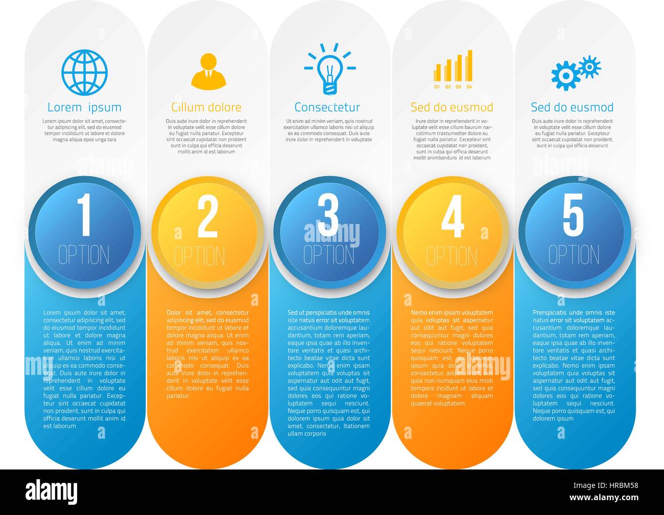 L'infographie avec étapes ou options Illustration de Vecteur