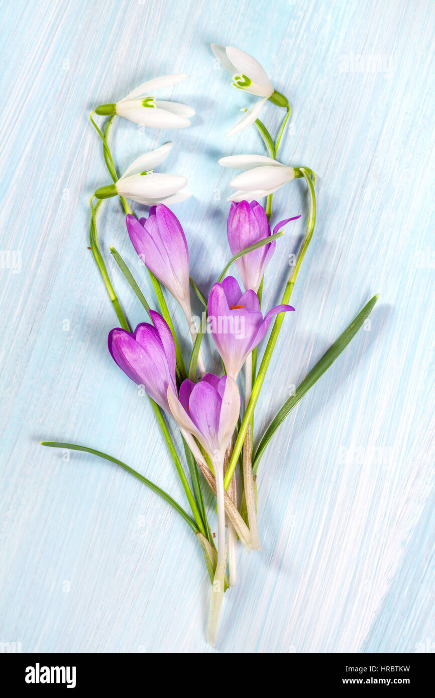 Arrangement floral avec Crocus et perce-neige Banque D'Images