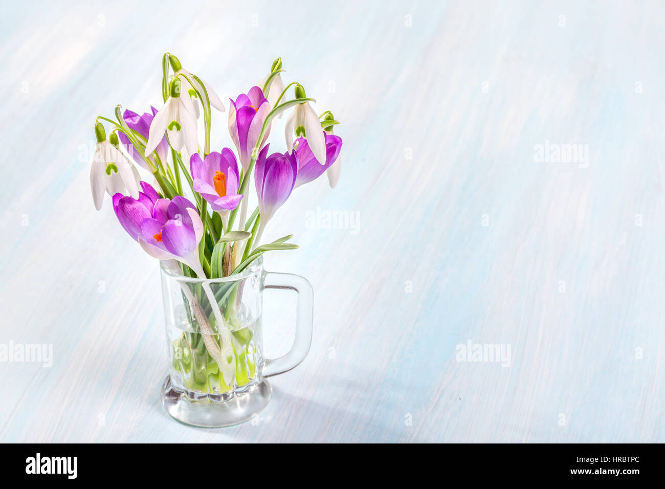 Bouquet de perce-neige et crocus sur un fond rustique Banque D'Images