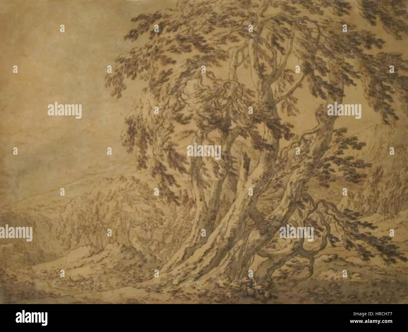 'Forêt' a attribué à Salvator Rosa, Honolulu Museum of Art Banque D'Images