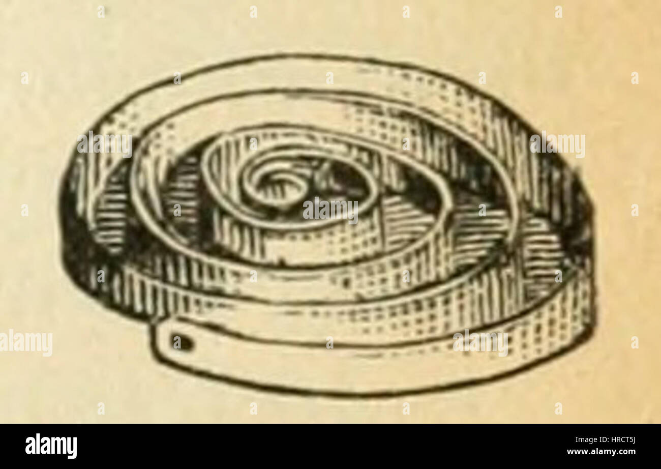 'Le Tour de la France par deux enfants' de G. Bruno, est une illustration de livre pour enfants qui représente un voyage à travers la France. L'image reflète les thèmes éducatifs de l'exploration, de l'histoire et de l'aventure, communs dans la littérature française pour enfants du XIXe siècle. Banque D'Images