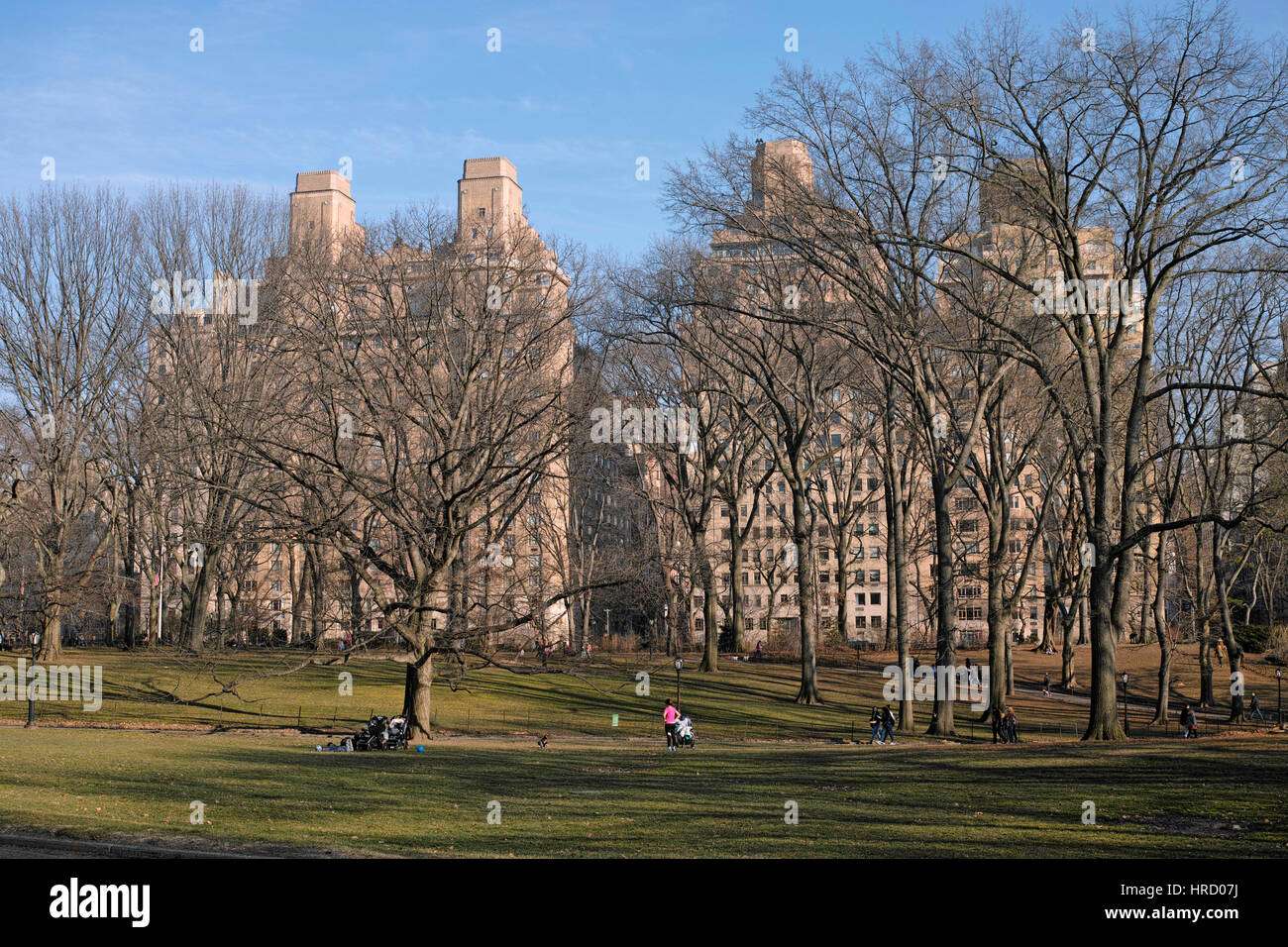 Central Park, hiver, soleil, Manhattan, USA Banque D'Images