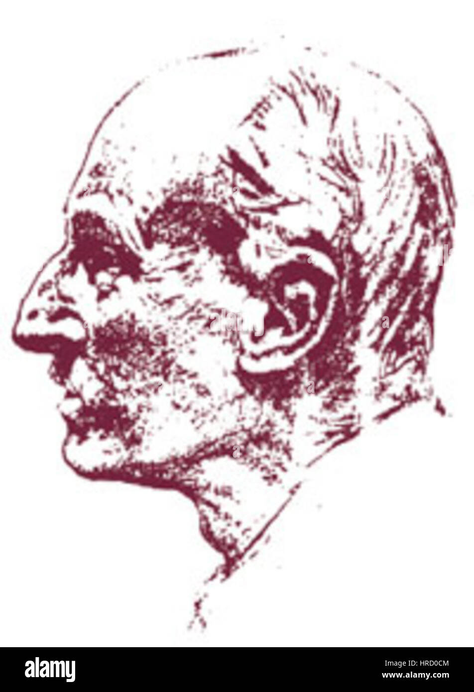 Un portrait d'Edward Theodore Compton, capturant ses traits distingués. La peinture reflète son statut et ses réalisations professionnelles, avec un accent sur l'expression faciale et les détails réalistes typiques des portraits de la fin du XIXe siècle. Banque D'Images